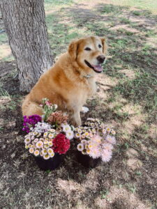 Meet The Faces Behind Ivy Road Farm