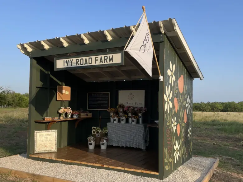 Ivy Road Farm's flower stand on opening day, Abilene TX