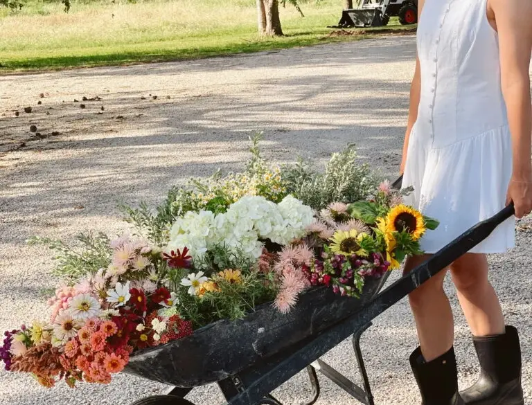 The family behind Ivy Road Farm, a flower farm in Abilene TX