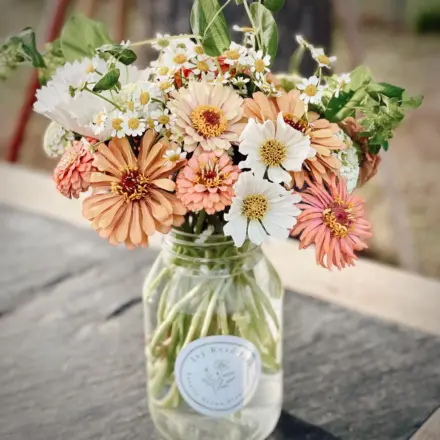 Mixed flower bouquet in a mason jar from Ivy Road Farm, Abilene TX